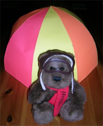Hershey bear with practice parachute design