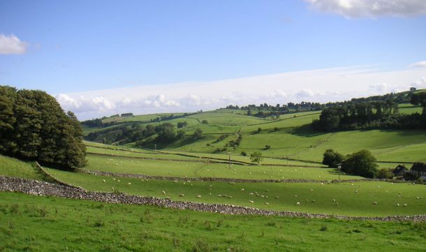 fields